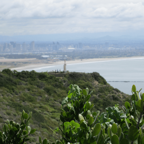 Hazy statue in the distance - California