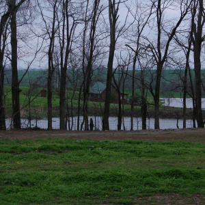 Uncle Tom's Cabin - Kentucky