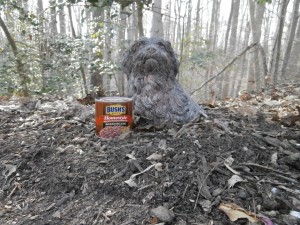 Dog and Bean Statue