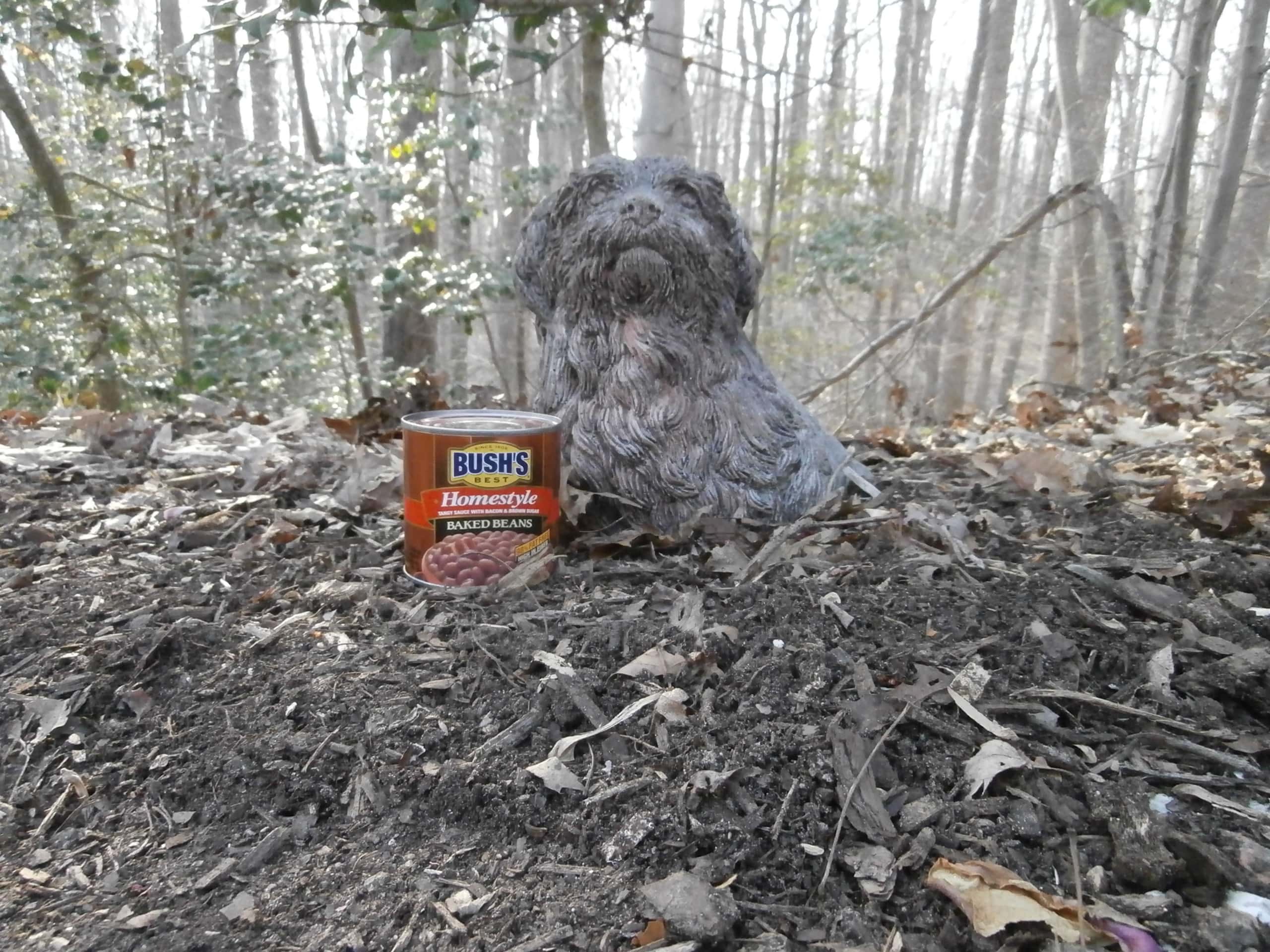 Dog and Bean Statue