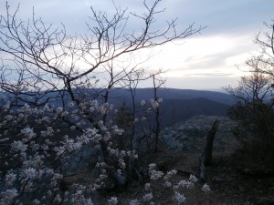 Sunset in the Mountains - Appalachian Mountains, Virginia