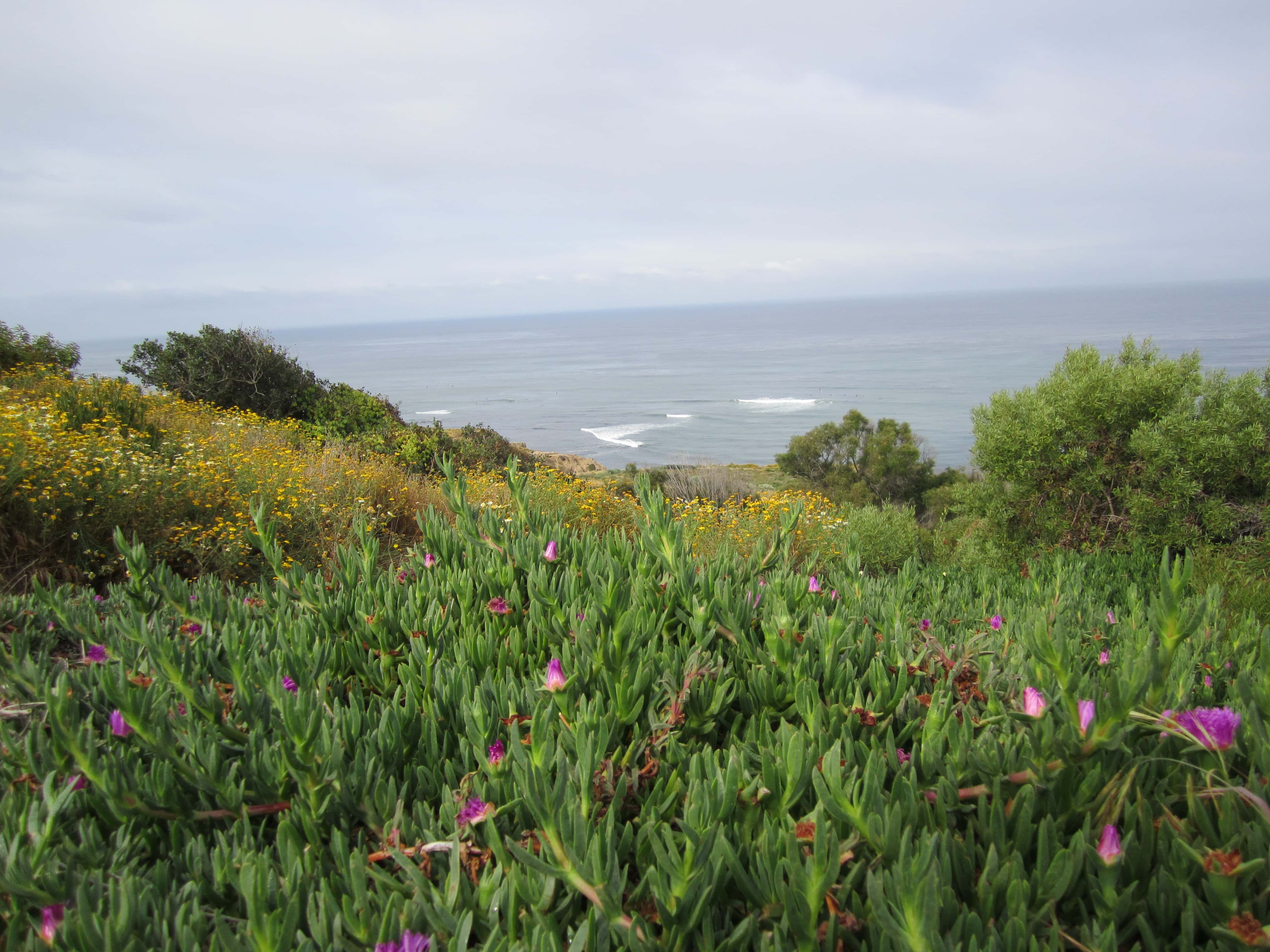 Pacific Ocean at Cabrillo National Park - California