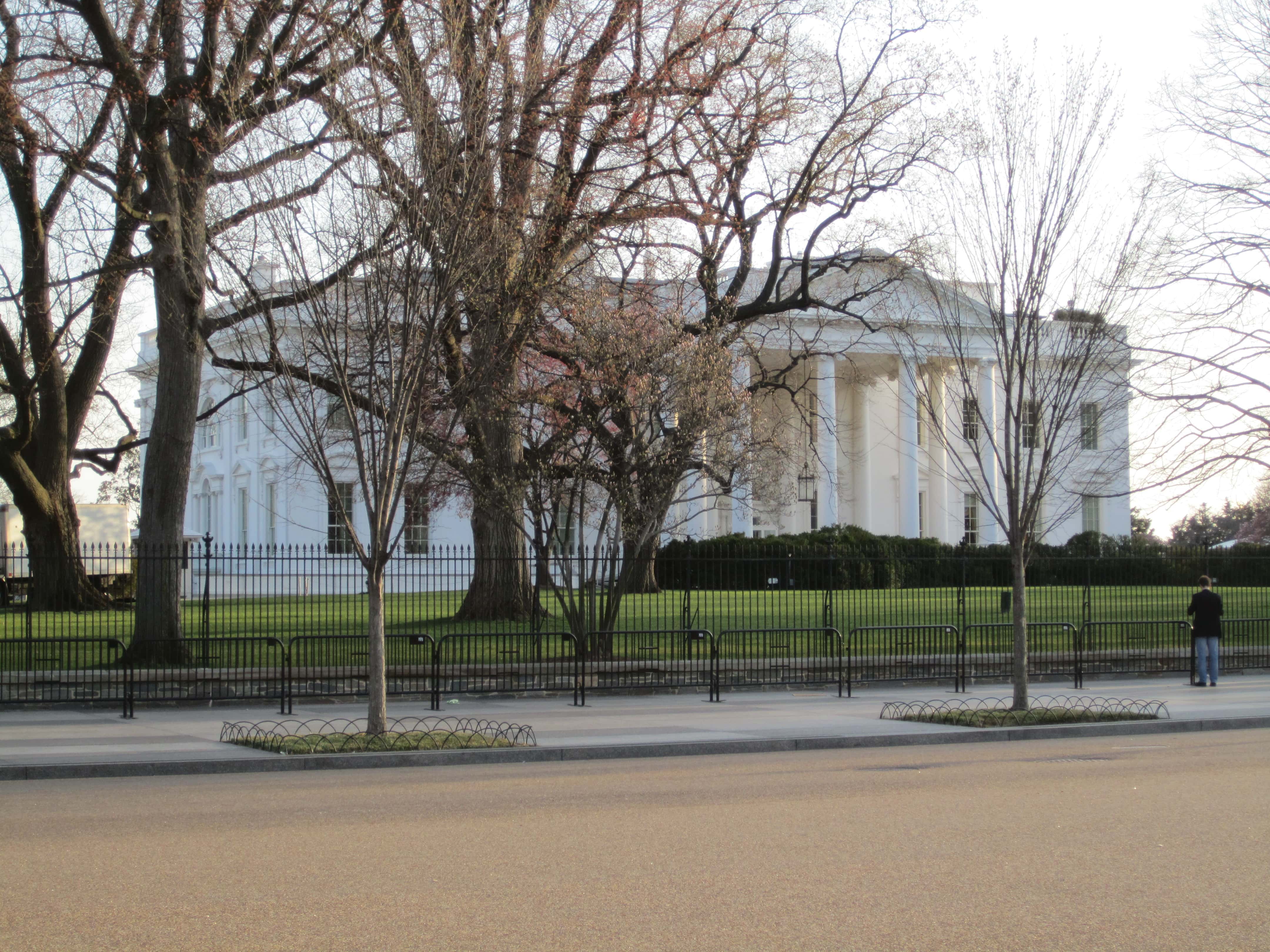 White House behind Winter trees