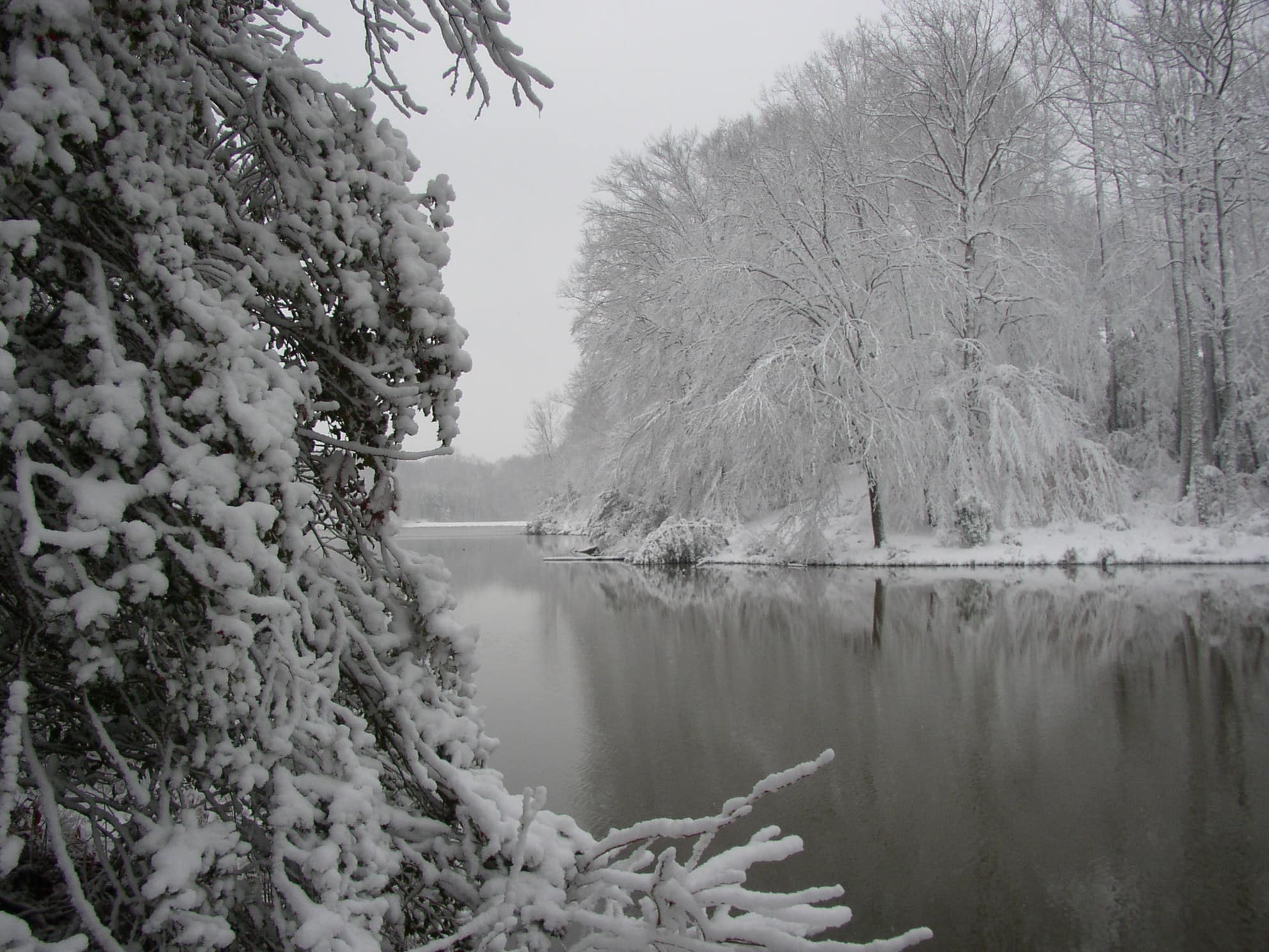 Winter over the lake, Presidential Lakes, King George, Virginia