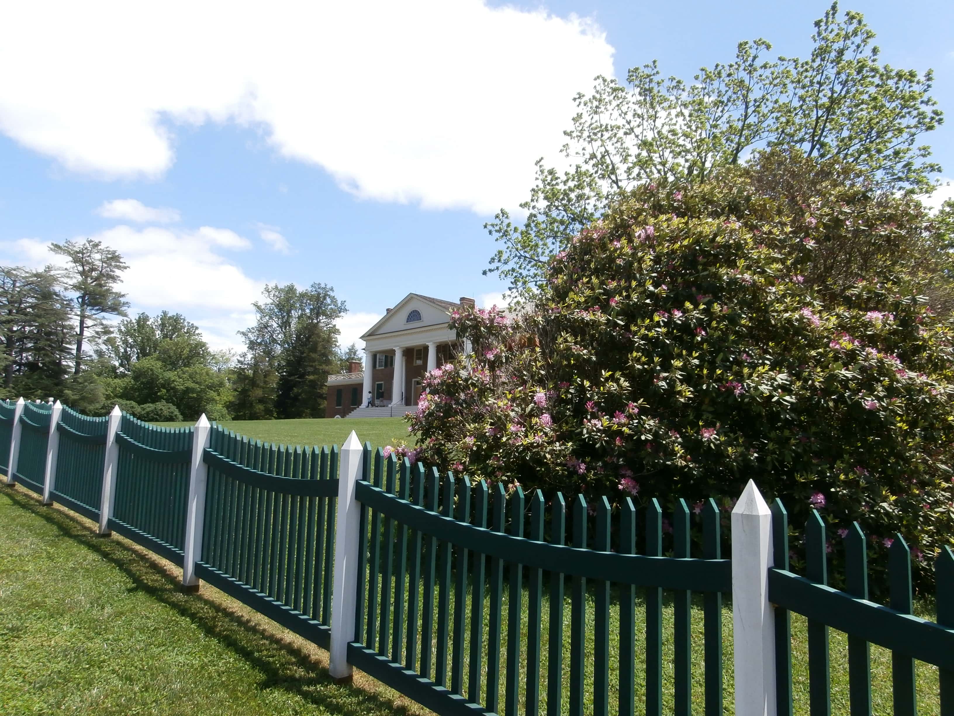 Montpelier (Flowering bush and fence view) - James Madison's Home - Orange, Virginia