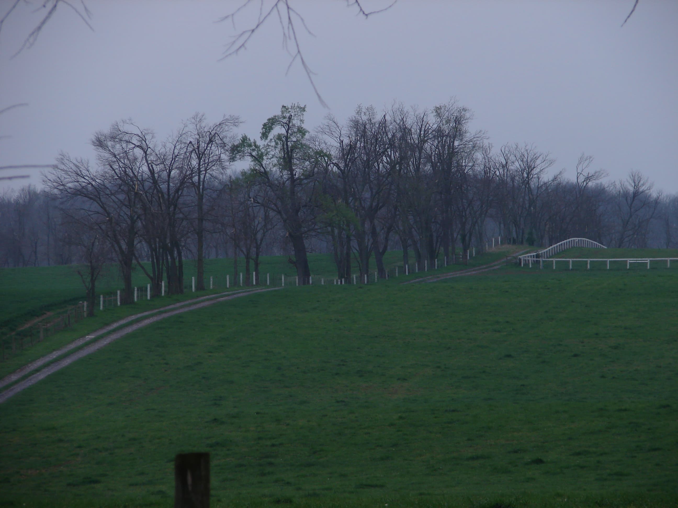 A Kentucky road in the mist