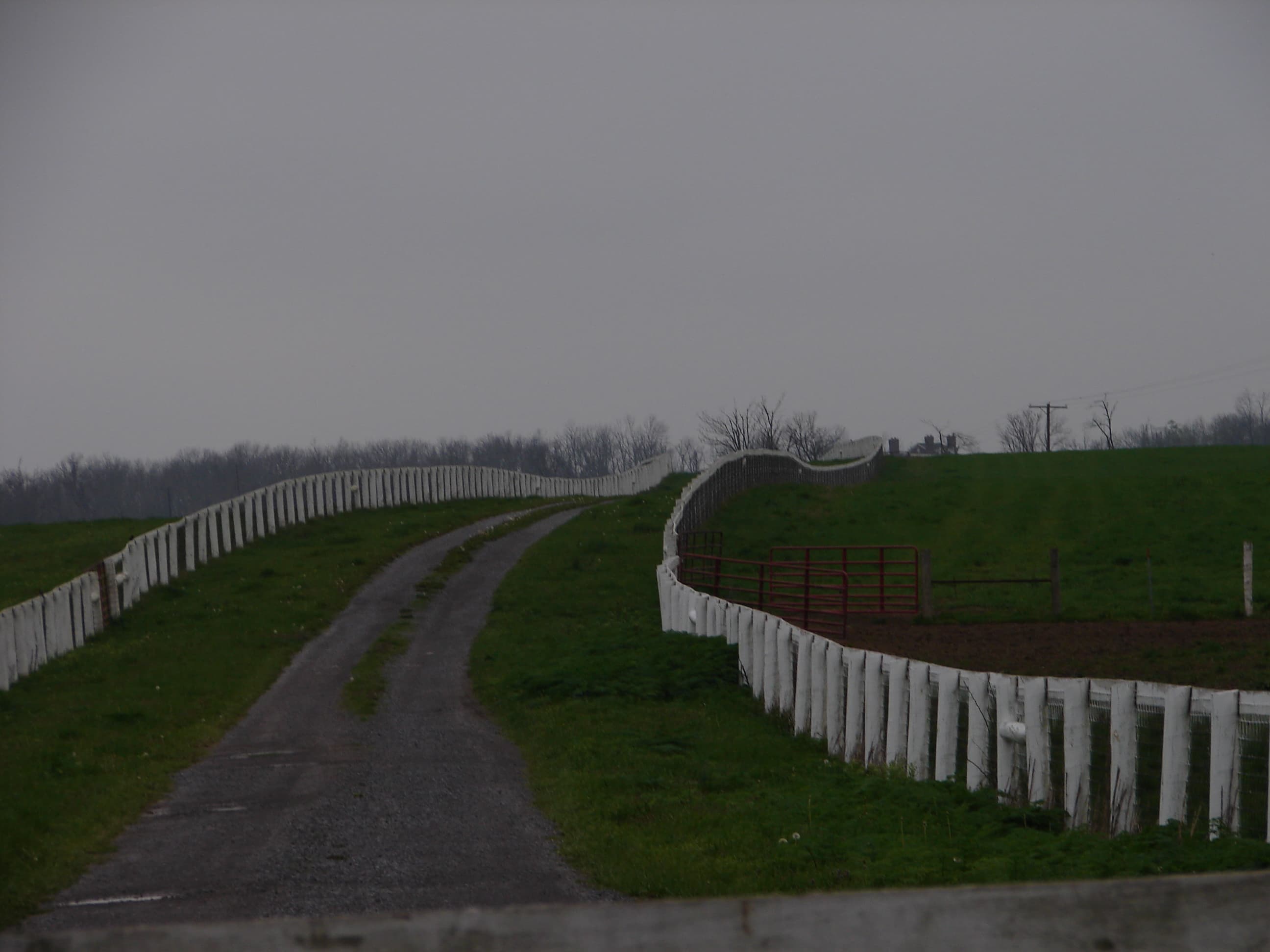 A Kentucky farm road
