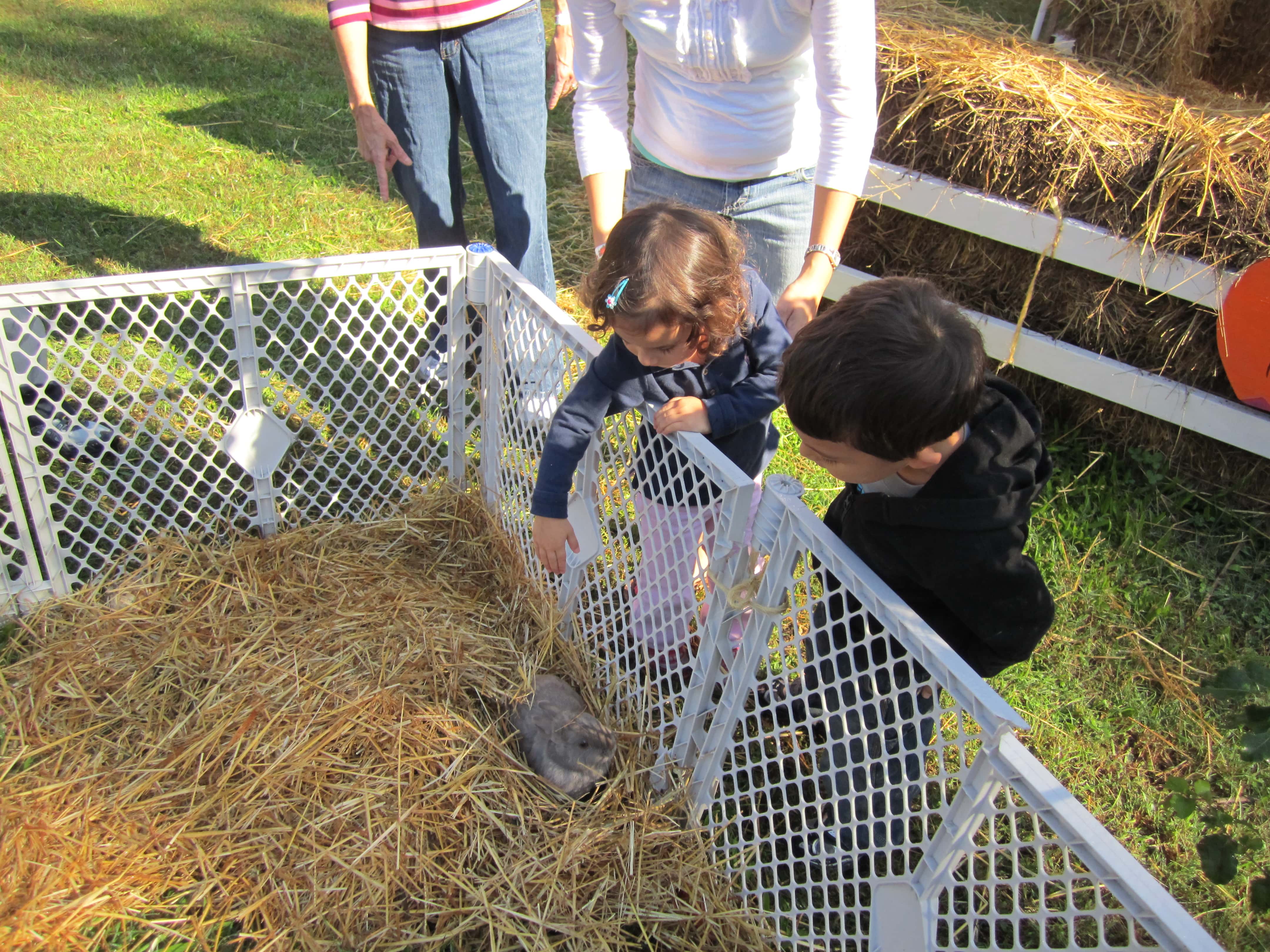 Bunny with grandkids (Abby and Noah) - Pumpkin Patch, October 2011