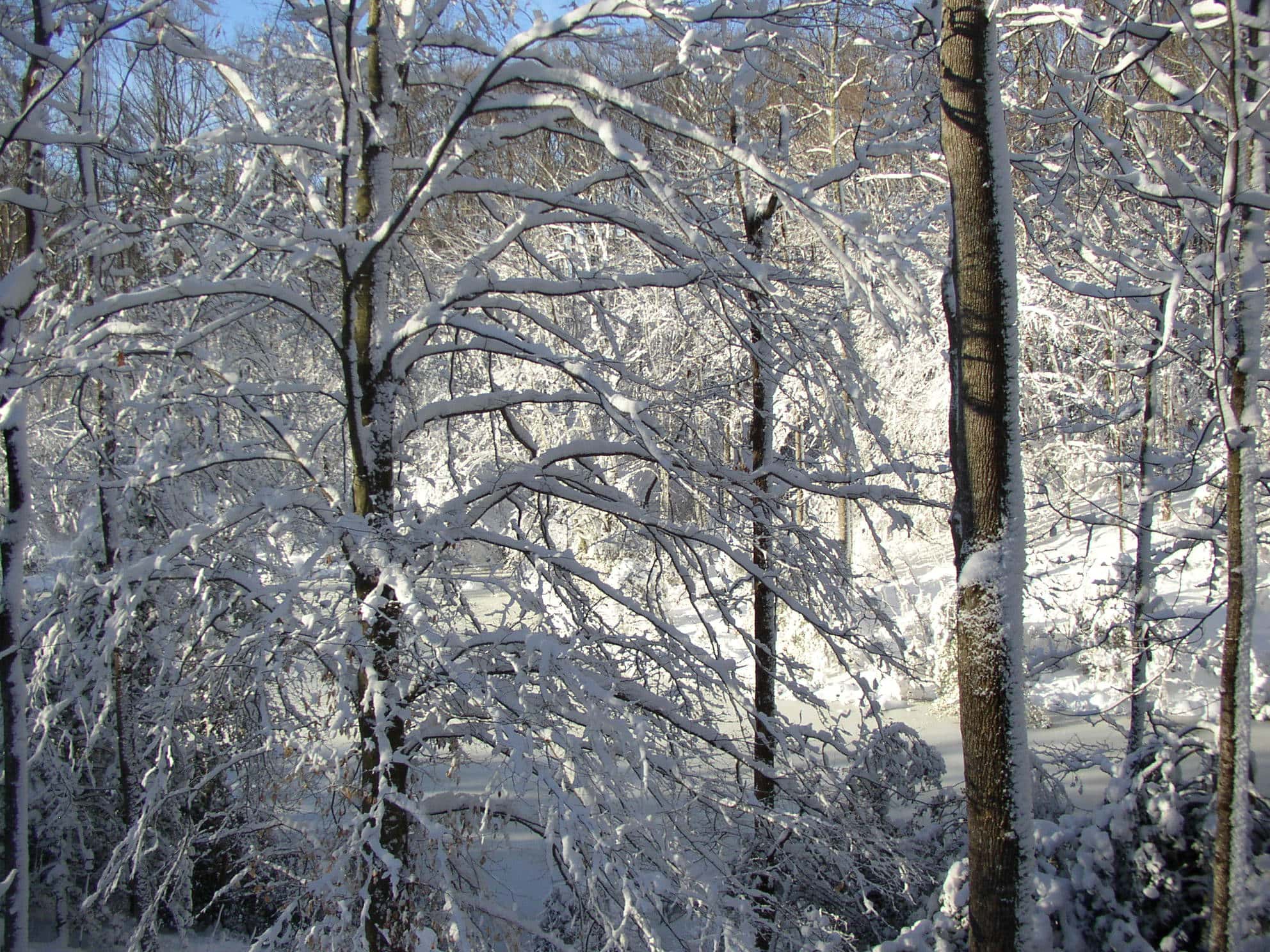 Winter Storm February 2010 - King George, VA