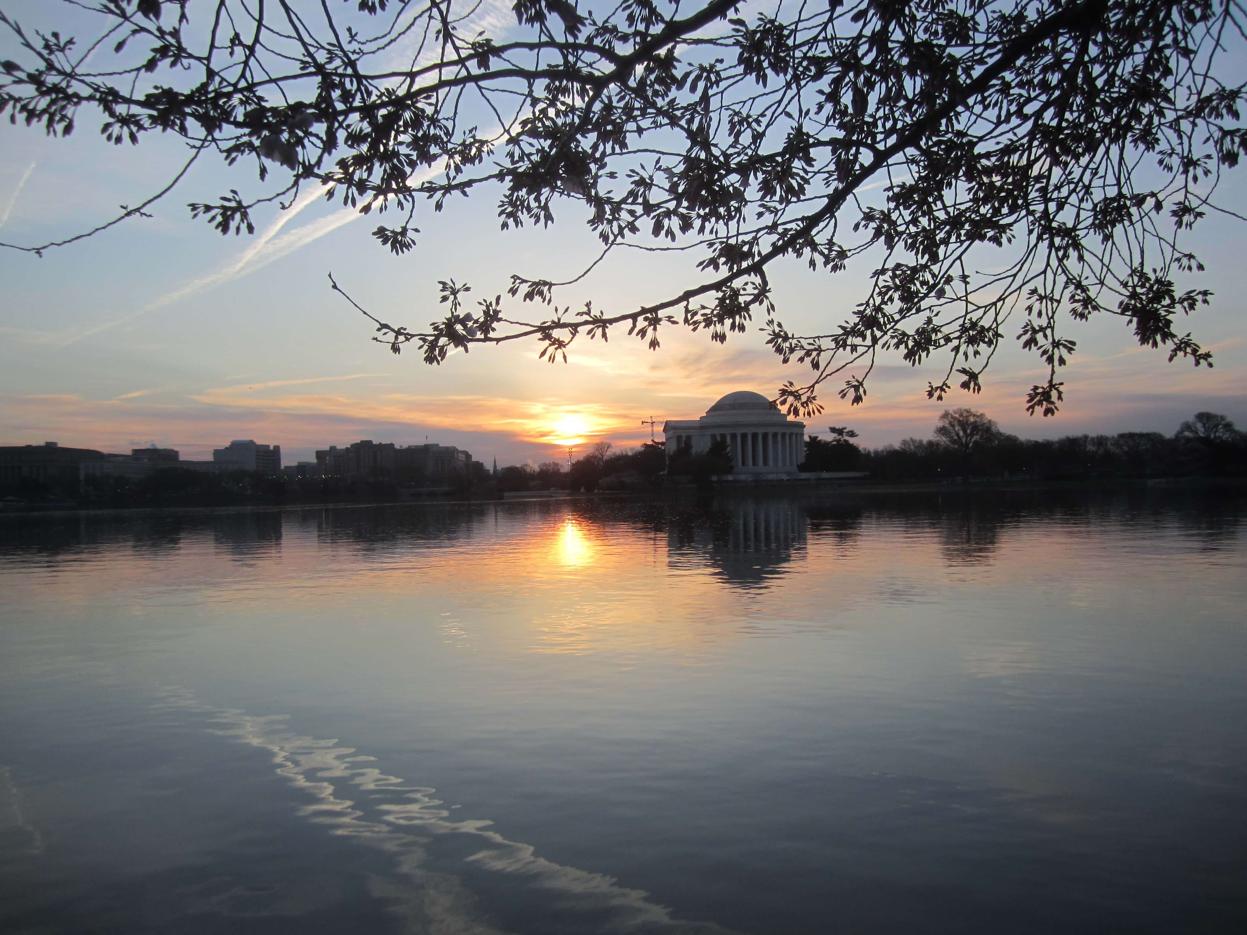 Jefferson Memorial at Sunrise with Cherry Blossoms -Washington DC Mar 2016