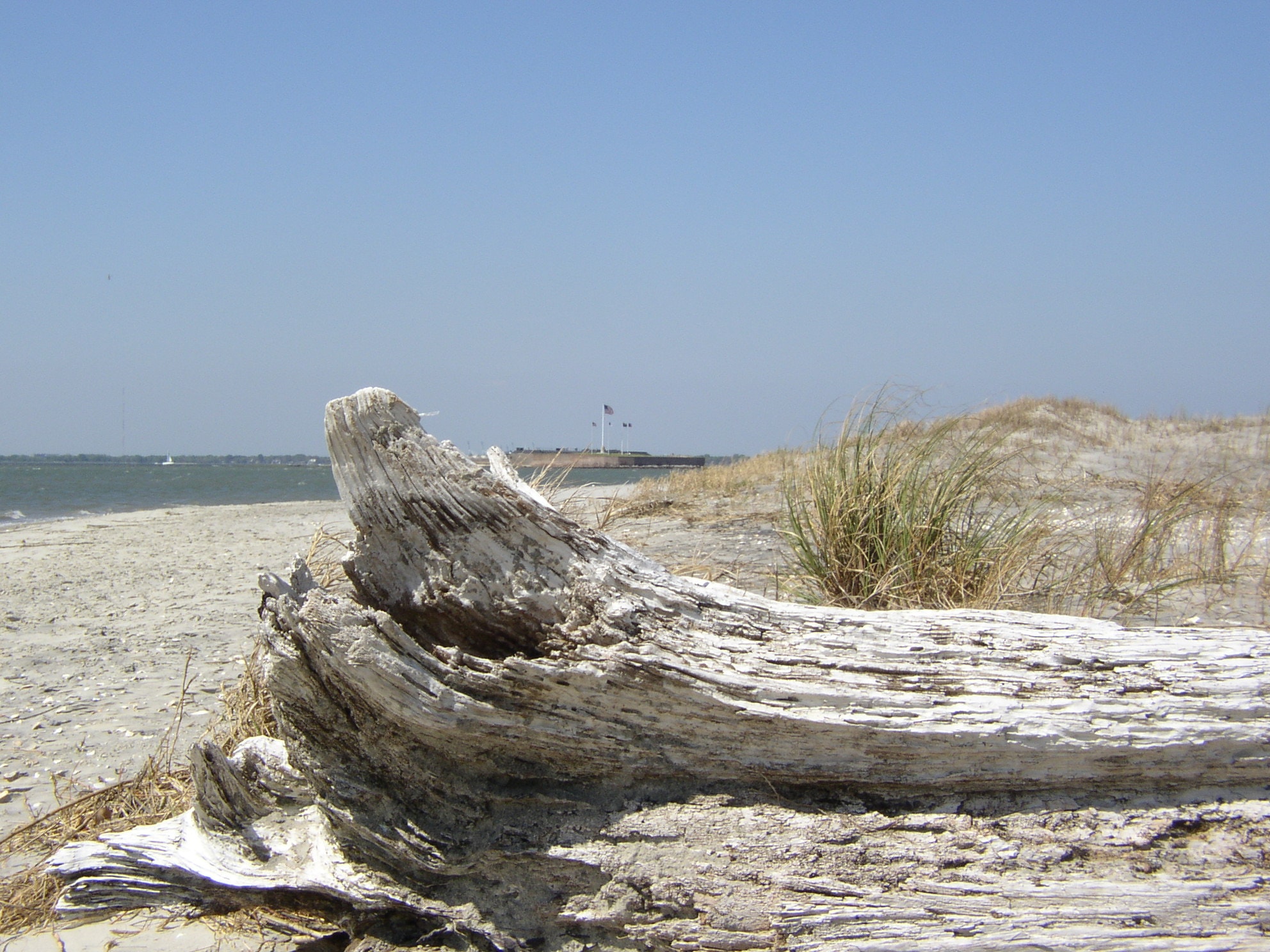 Looking at Fort Sumter (in background) sitting on beach near driftwood