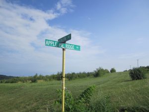 Sign in Winchester, Virginia - Intersection of Apple Pie Ridge Road and Caralpa Road