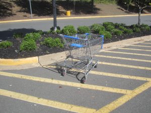 Shopping cart