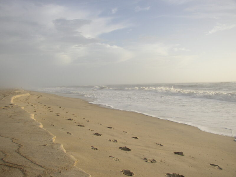 Beach Storm